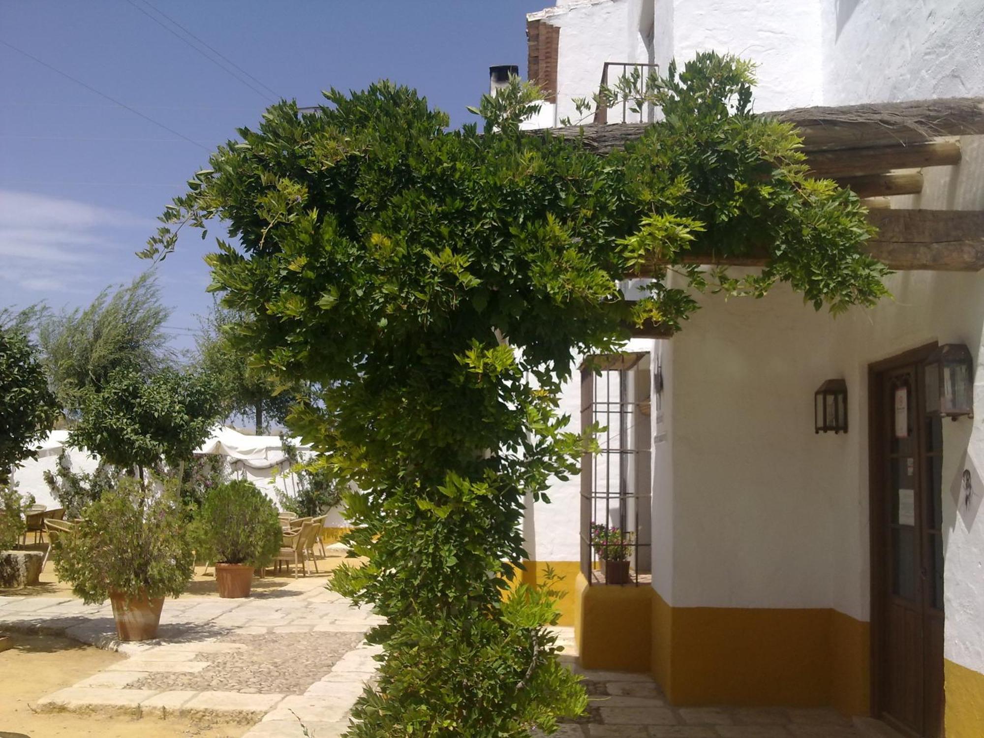 Posada De Jose Mª El Tempranillo Alameda Extérieur photo